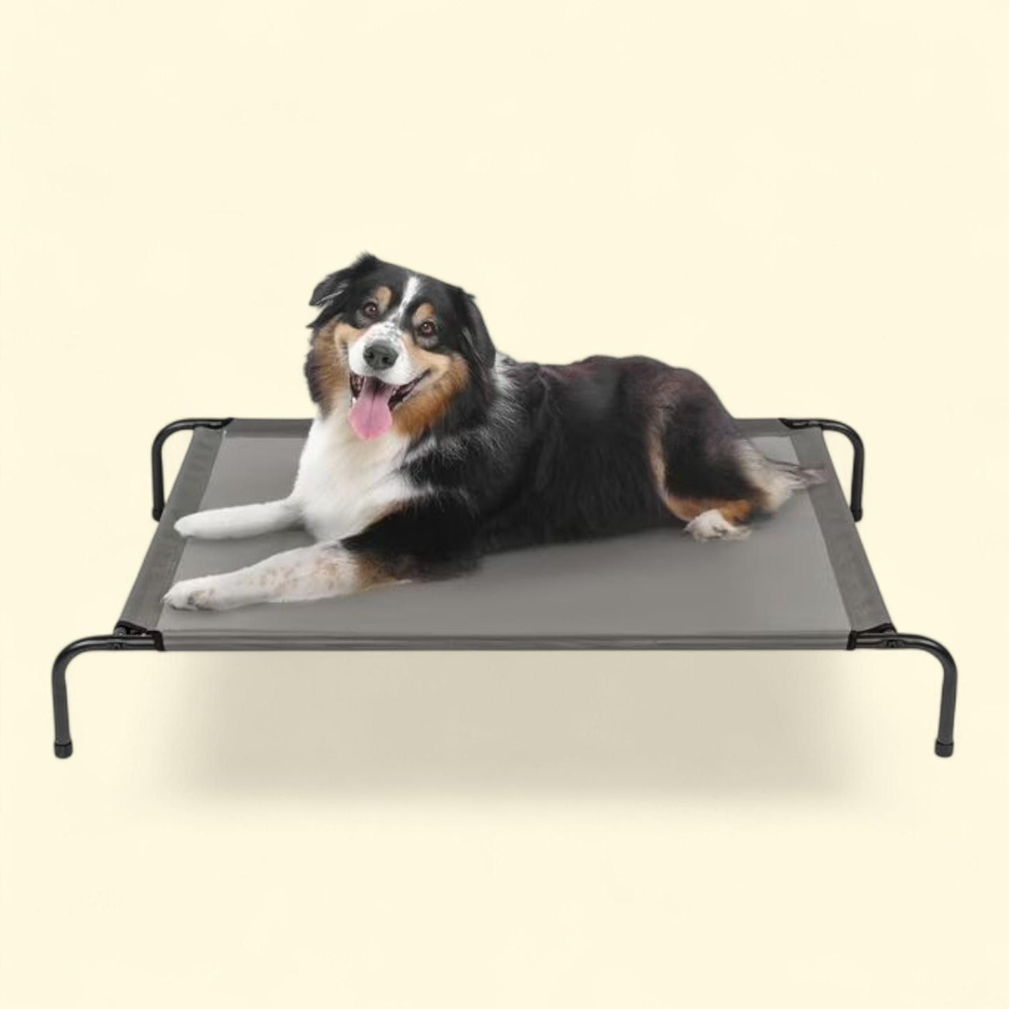 Dog Bed, 50"D x 31"W x 8"H, Gray — authentic US product shipped worldwide by Treatspree