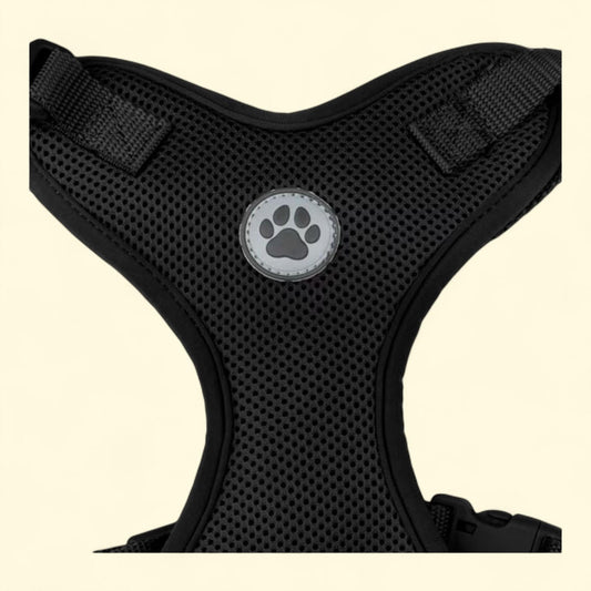 Vibrant Life Dog Walking Harness, Medium