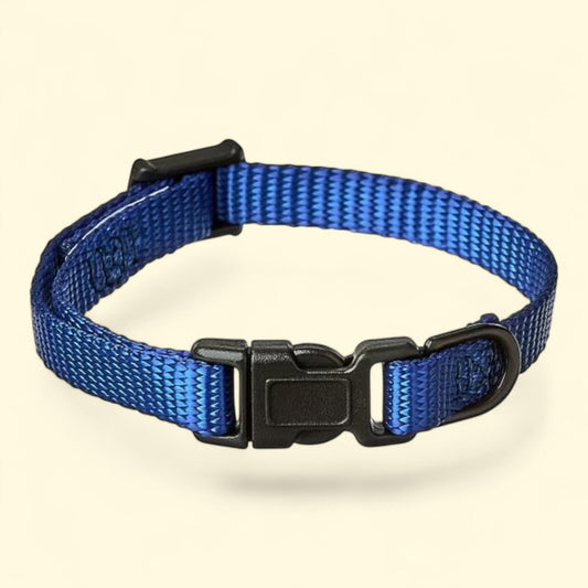Vibrant Life Dog Collar, Blue, Extra Small