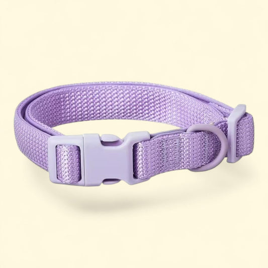 Vibrant Life Dog Collar, Lilac, Medium