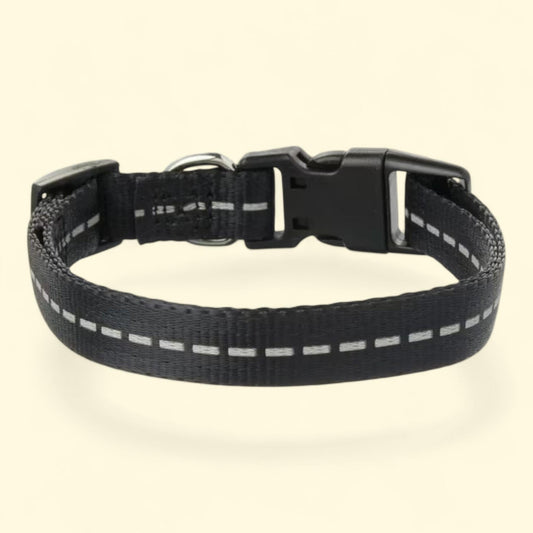 Vibrant Life Reflective Polyester Adjustable Dog Collar, Small