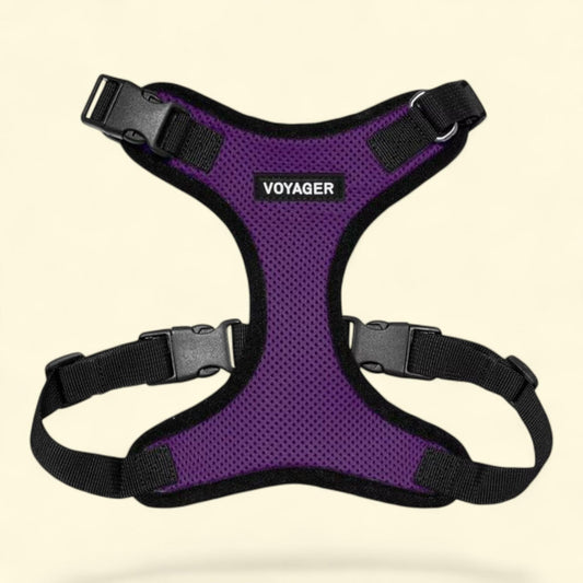Best Pet Supplies Voyager Step-In Lock Pet Harness, XL