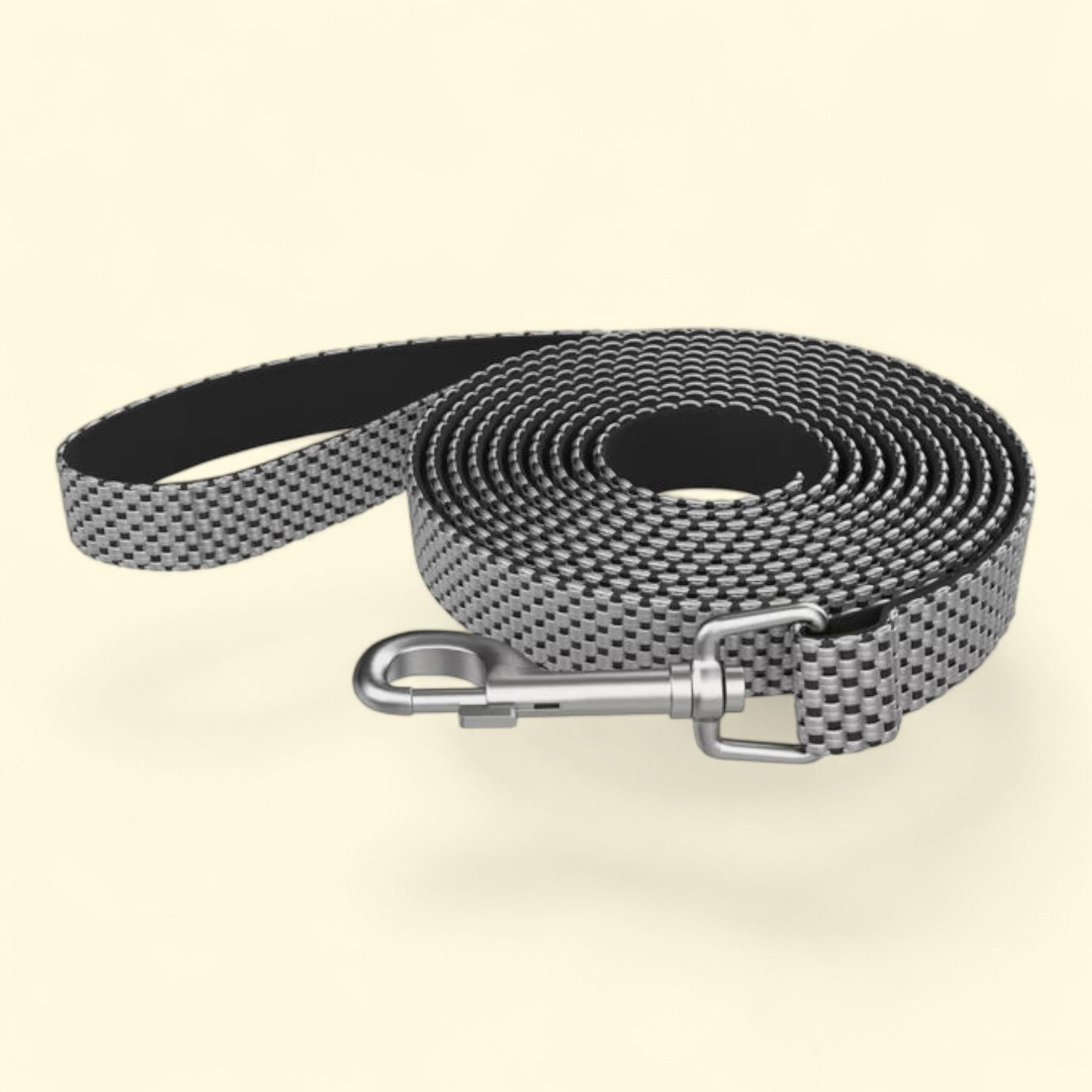 Vibrant Life Nylon Dog Leash, 5ft, Gray