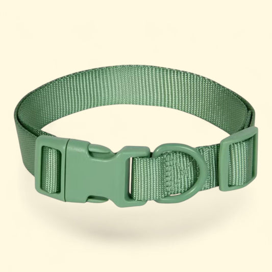 Vibrant Life Adjustable Collar for Dogs, Large