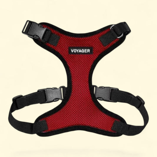 Best Pet Supplies Voyager Cat Harness, Adjustable Step-In Vest Harness, Small and Large Sizes