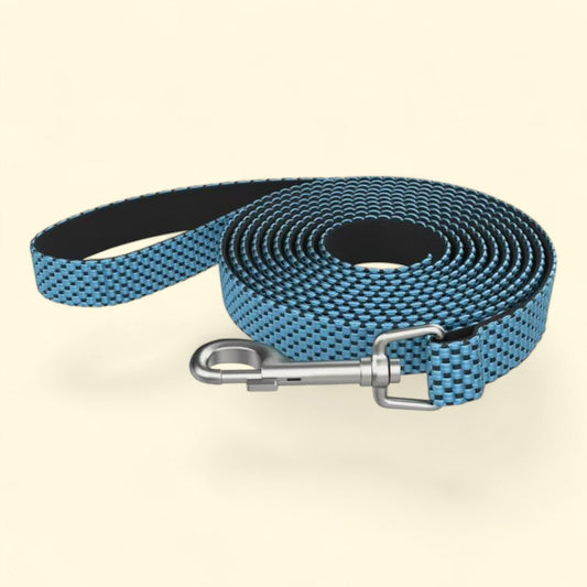 Vibrant Life Dog Leash, Medium, Blue, 5 feet