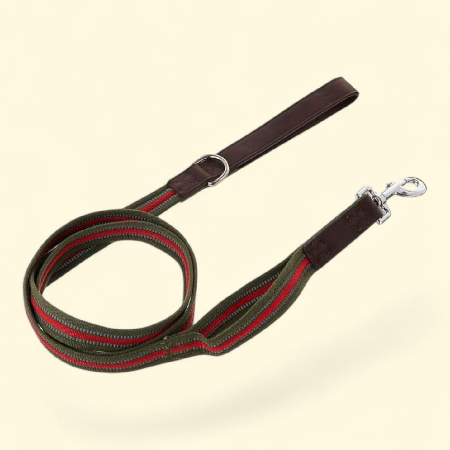 Vibrant Life Reflective Dog Leash, Olive, 6 ft