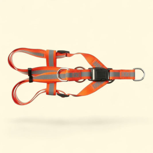 Vibrant Life Hunter Step-in Harness, Orange, L