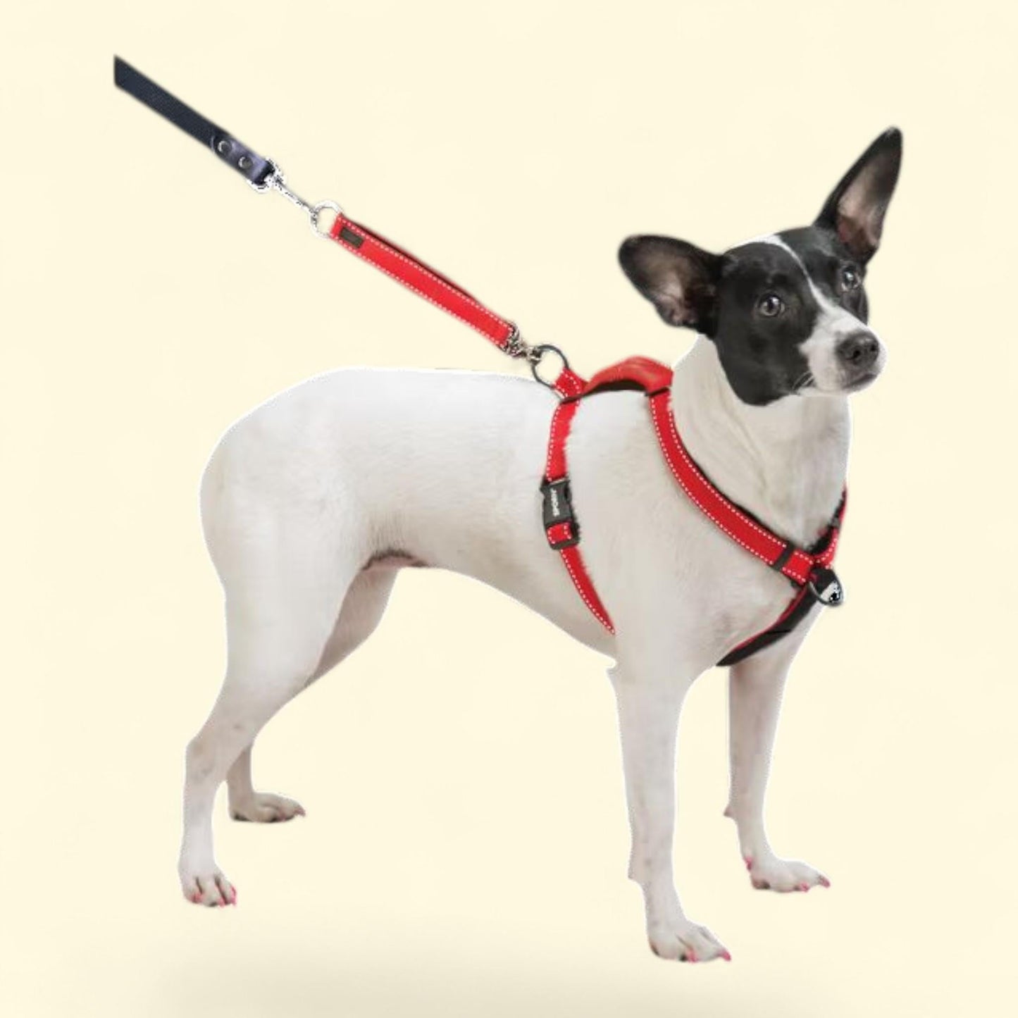 SPORN Ultimate Control Harness, Size