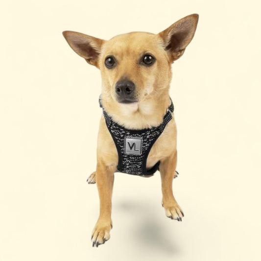 Vibrant Life Reflective Dog Harness, Black, XL