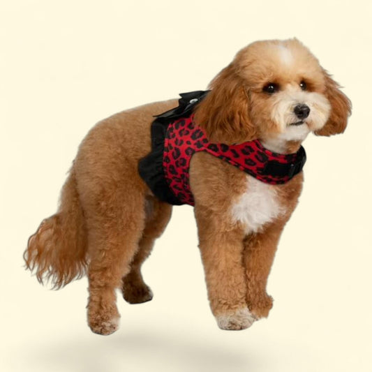 Christian Siriano, Dog Harness, Animal Print, Red, S