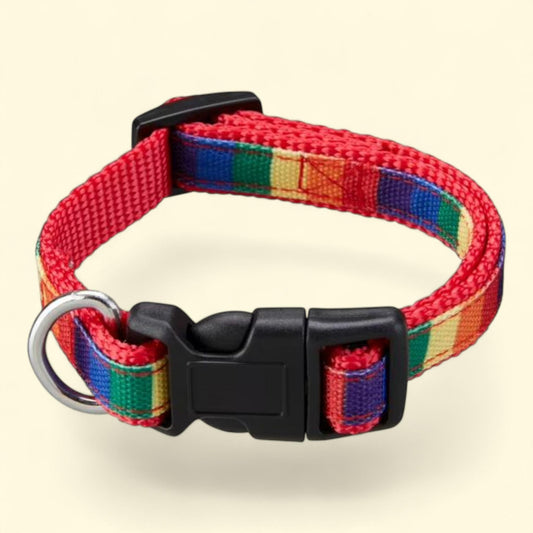 Best Furry Friends Dog Collar, Pride, Small/Medium