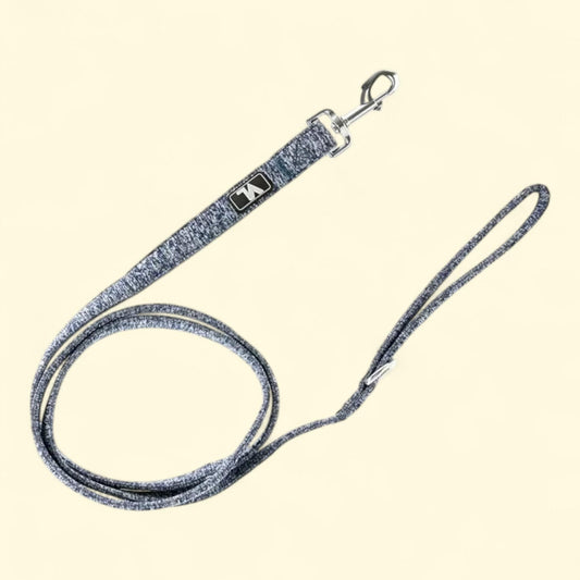 Vibrant Life Dog Leash, Blue, 6Ft.