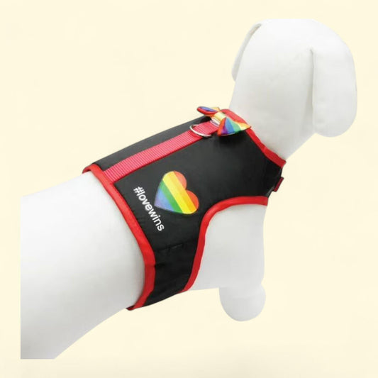 Best Furry Friends Harness, Love Wins, Small/Medium