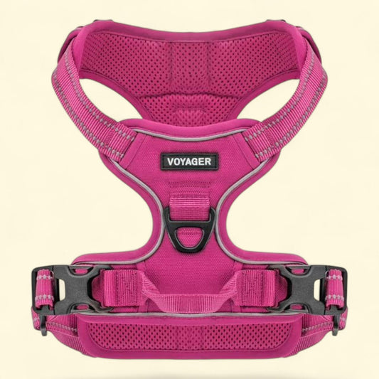 Voyager Dog Harness Dual Leash Attachment XS (Chest: 13 - 16")