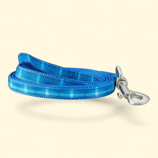 Best Furry Friends Leash, Blue Ombre Graphic, Small/Medium