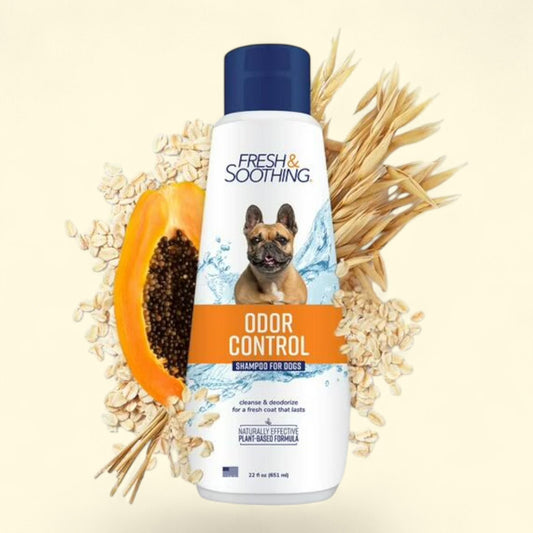 Naturel Promise Deodorizing Dog Shampoo, 22oz Bottle