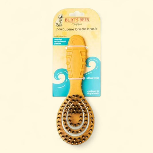 Burt's Bees For Pets Porcupine Bristle Brush, Flex-Head Grooming Brush, Puppies and Small Dog, 7 inches brush
