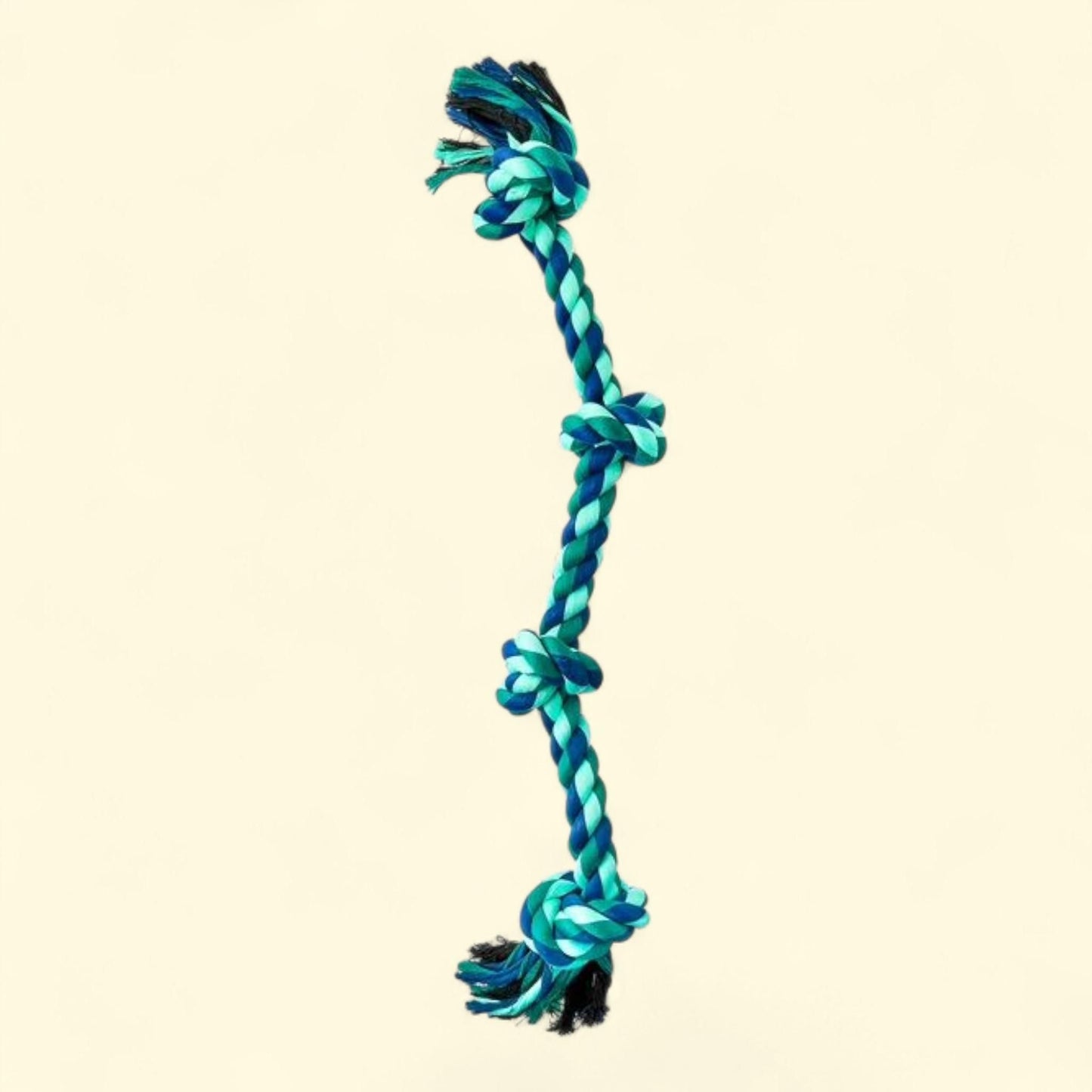 Vibrant Life Playful Buddy Rope Chew Toy, Large, Green