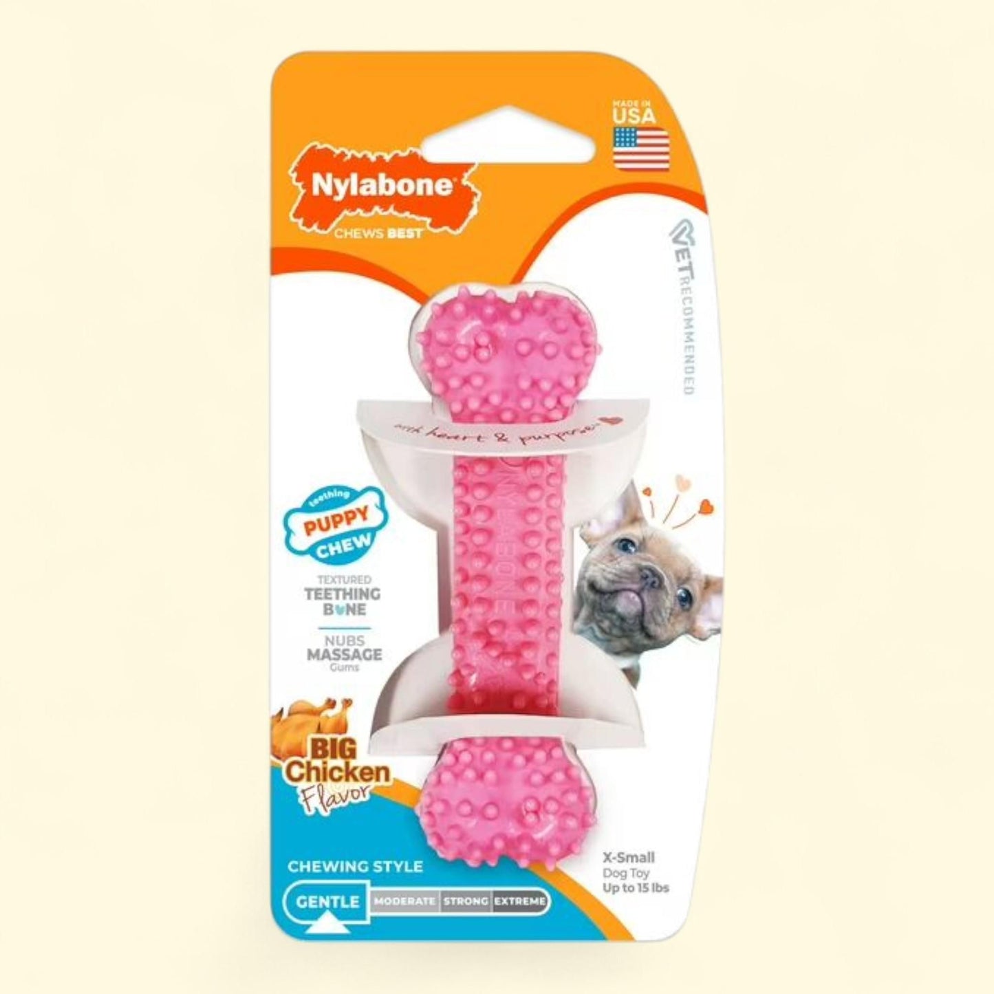 Nylabone Puppy Chew Teething Bone Chew Toy Chicken X-Small, 1 Count