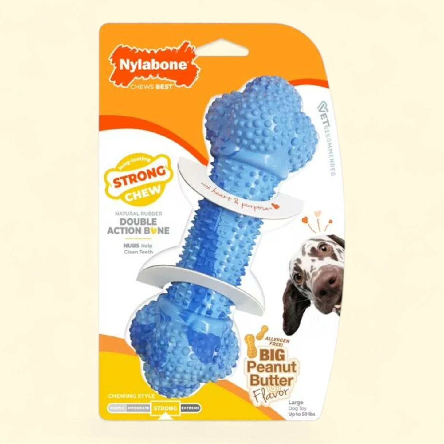 Nylabone Double Action Bone Chew Toy, Large