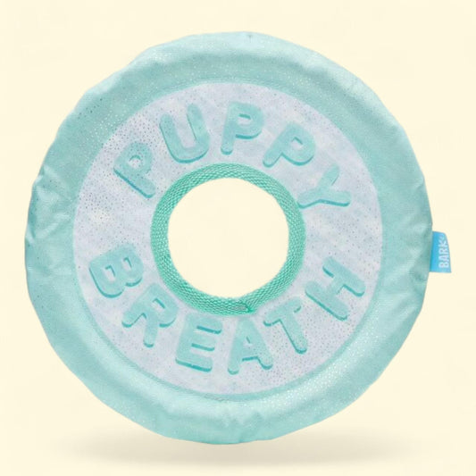 Vibrant Life Chomp and Tug Buddy TPR Twist Chew Dog Toys, Size