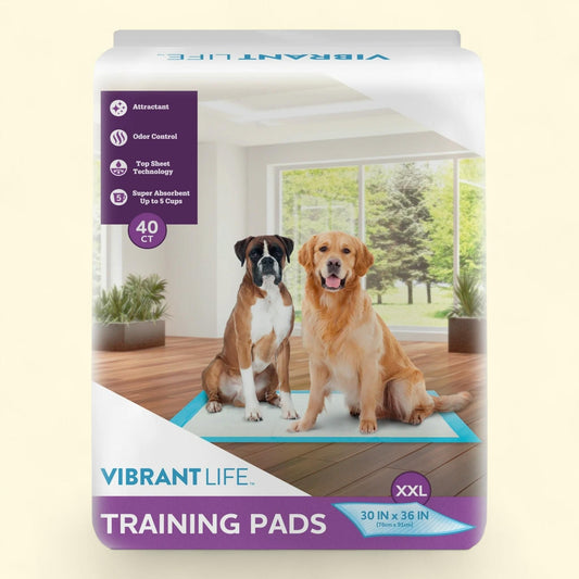 Coussins d'entraînement Vibrant Life, XXL, lot de 40