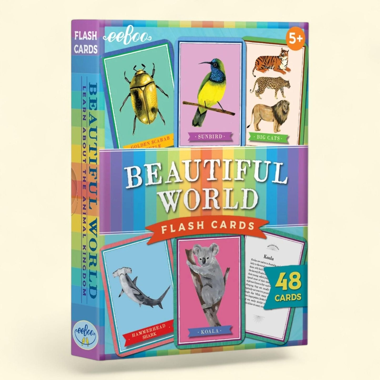 eeBoo Beautiful World Flash Cards, Educational, 48 Cards