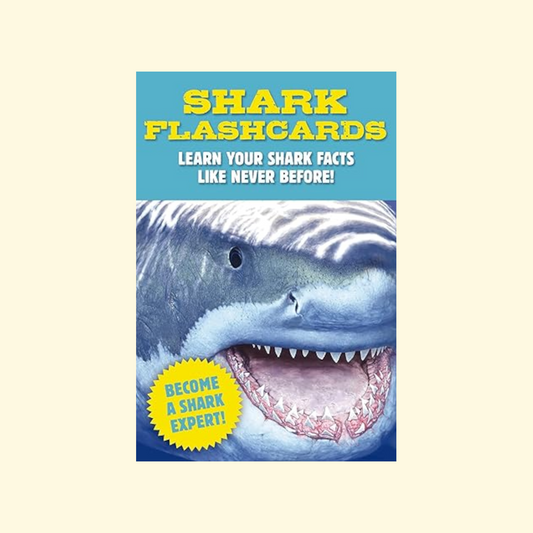 Shark Flashcards, Sharks, Flash Cards, Marine Biology, Science and Nature, Sharks for Kids
