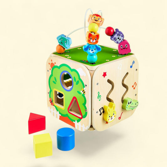 Spark Create Imagine Wooden Block Sorting Activity Cube, 12m+