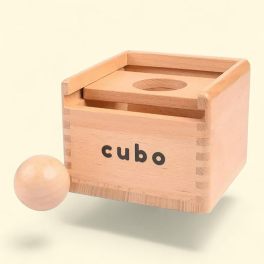 Montessori Starter Kit, 3-In-1 Imbucare Object Box