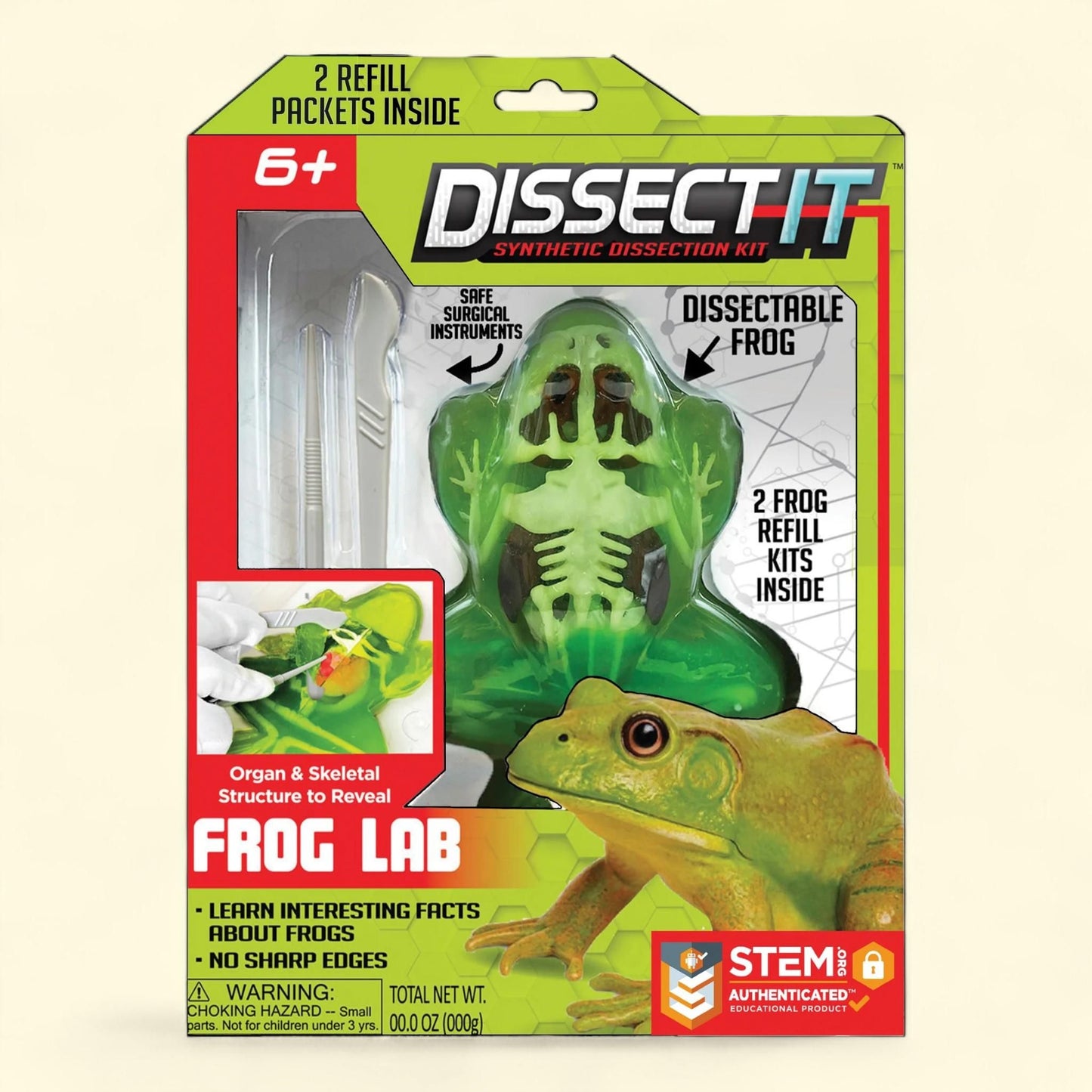 Top Secret Toys Dissect-It Synthetic Lab Dissection Frog, 7.7 inches — authentic US product shipped worldwide by Treatspree