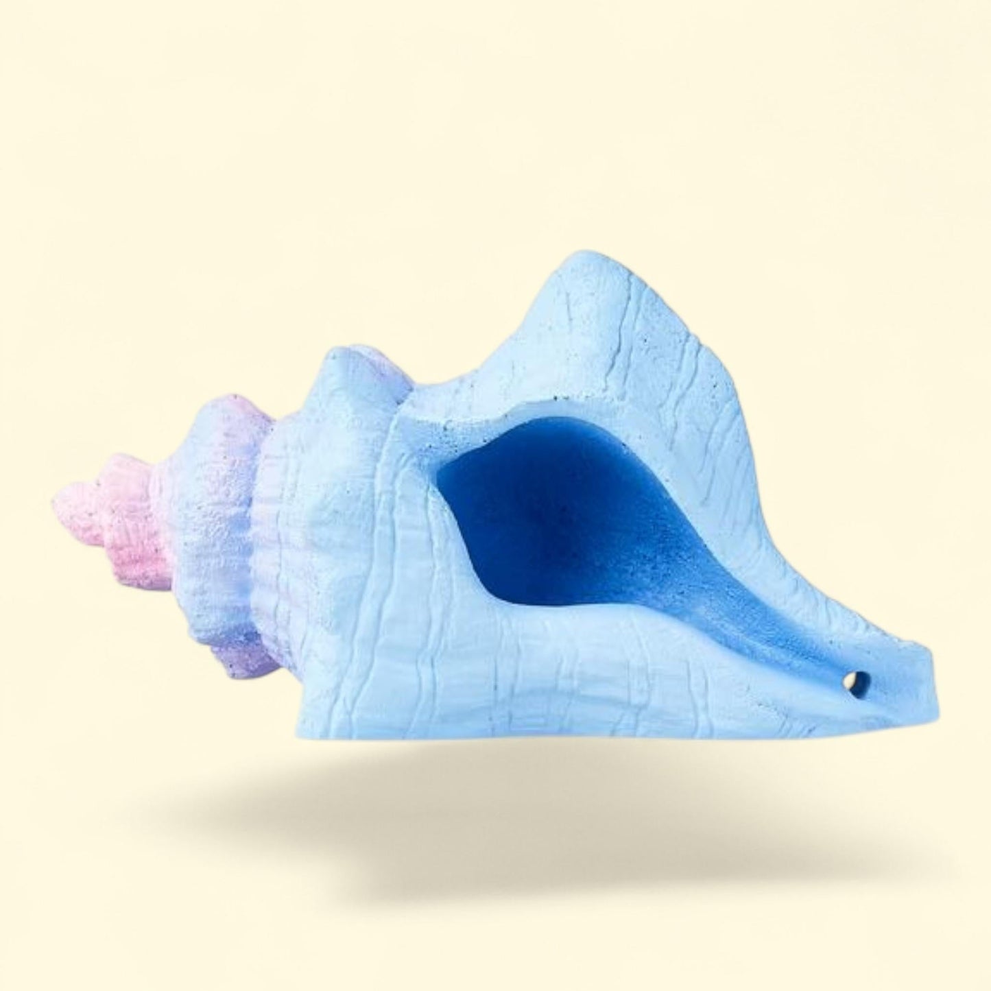 Vibrant Life Seashell Ornament, 2.16" x 3.74" x 2.28"