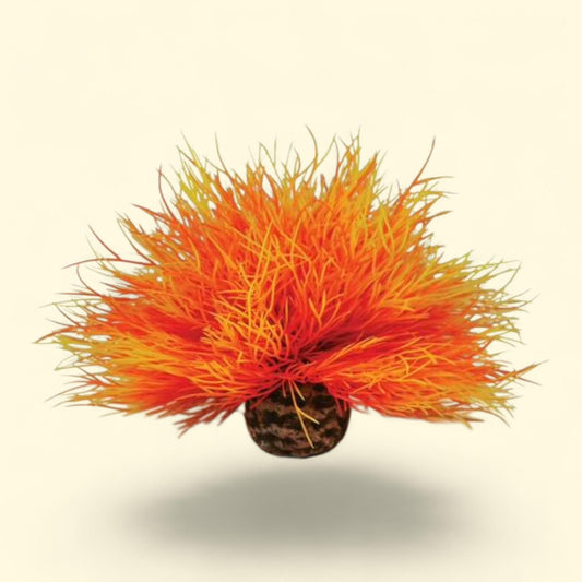 biOrb Sea Lily, Orange, Aquarium Plant Decoration, 5.12 in