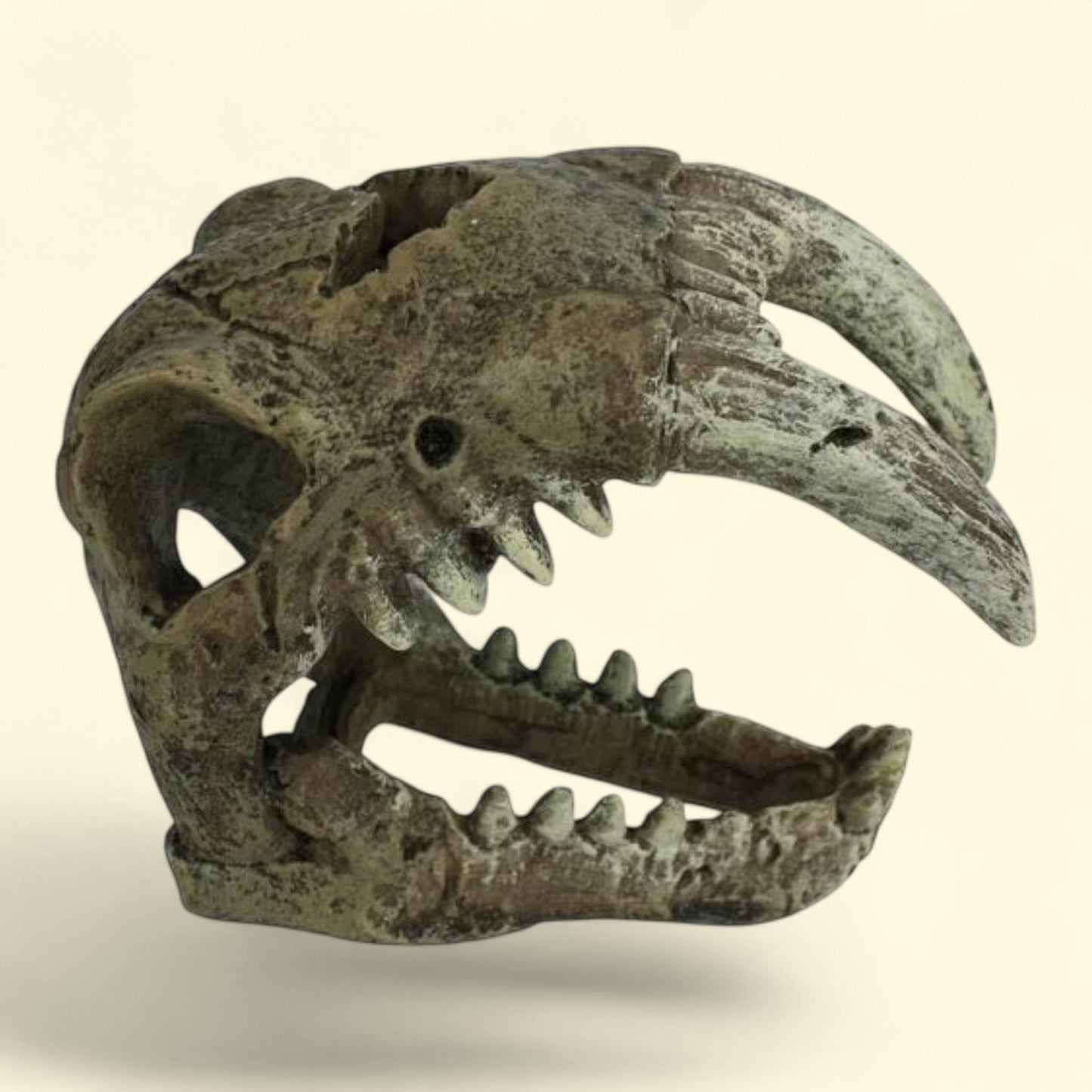 Komodo Saber Tooth Skull Decor, Polyresin, Bone Color, 3.1 in