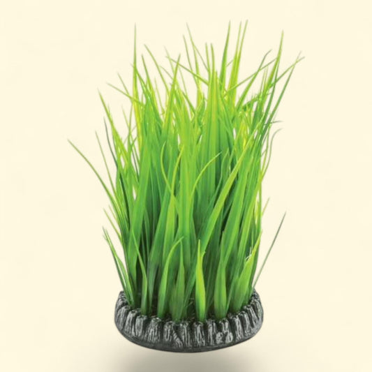 Anneau d'herbe biOrb, 10,5 cm