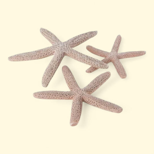 biOrb Natural Starfish Set, 0.70 in