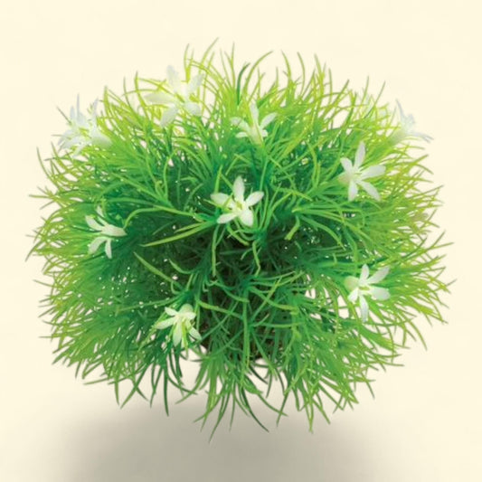 Bouquet de fleurs biOrb avec des marguerites, 11 cm