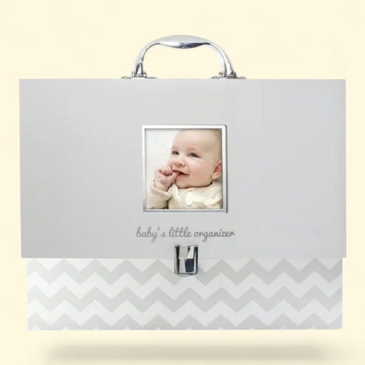Pearhead Baby Document Organizer, Briefcase File Keeper, Gray, Carry Handle, Free-Standing