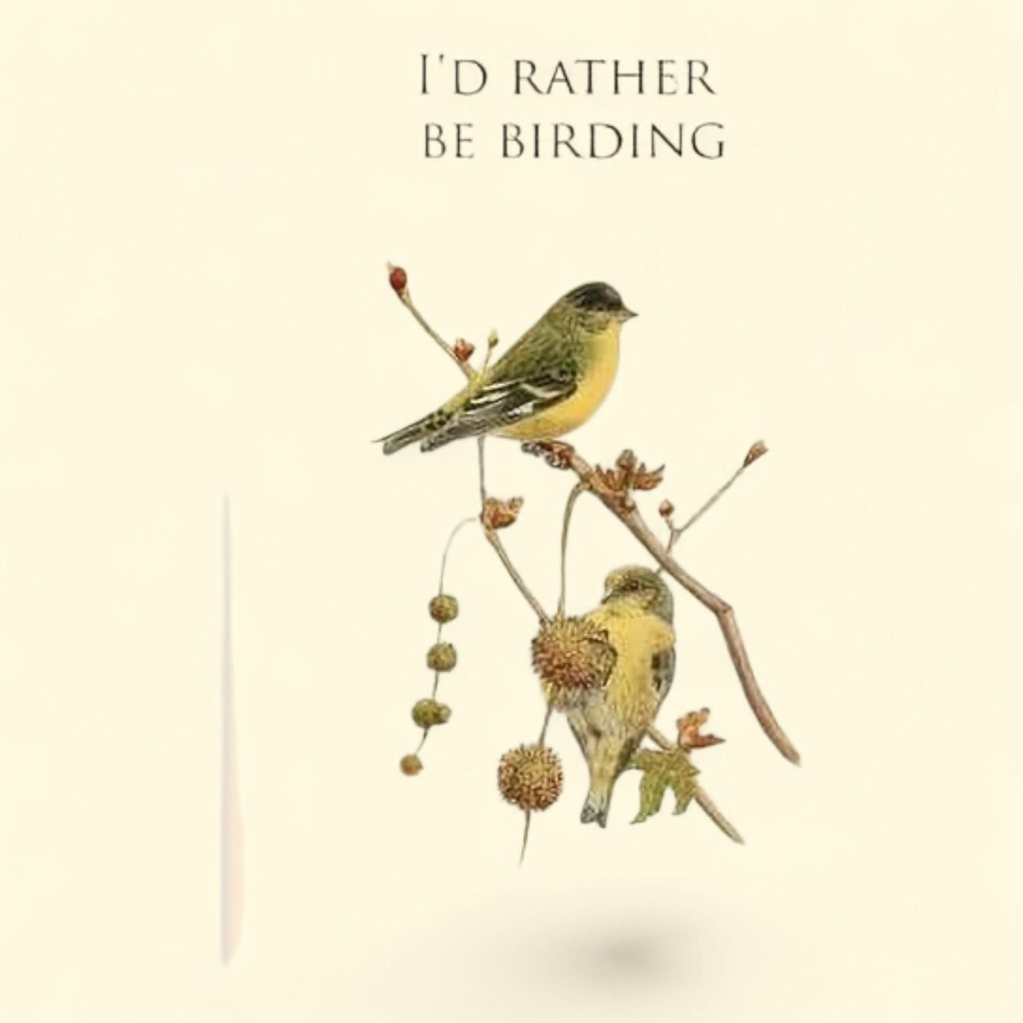 Chimpanzee Composition Notebook, Wide Ruled, Paperback