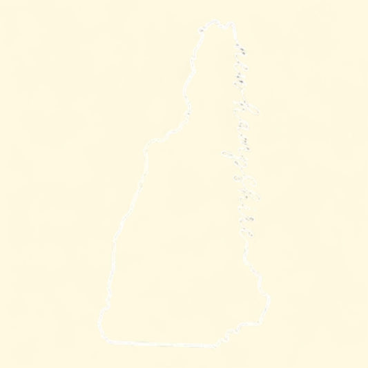 Composition Notebook, Wide Ruled, 100 Sheets, 9 1/4 X 7 1/2 In.