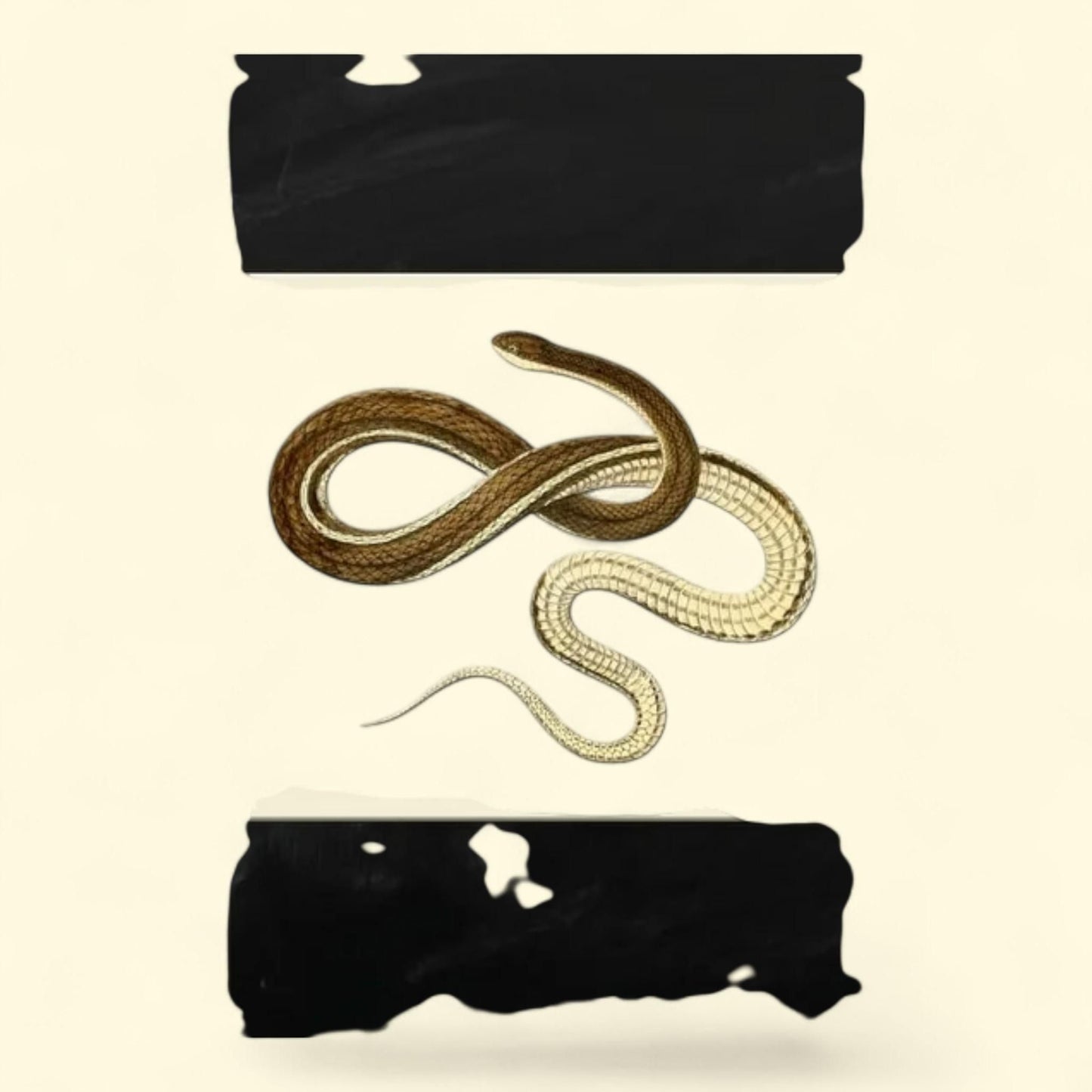 Graph Paper Composition Notebook, Large