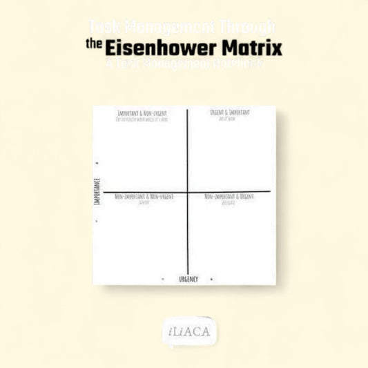 No specific brand, "Funny Quotes and Pun Themed College Ruled Composition Notebook, Paperback"