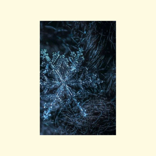 Close-up of a snowflake on a beige background