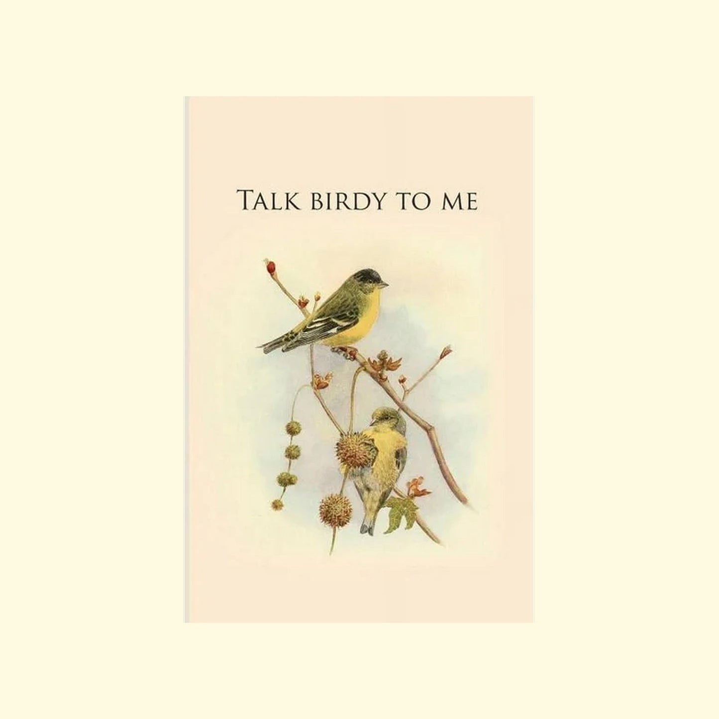 Talk Birdy to Me