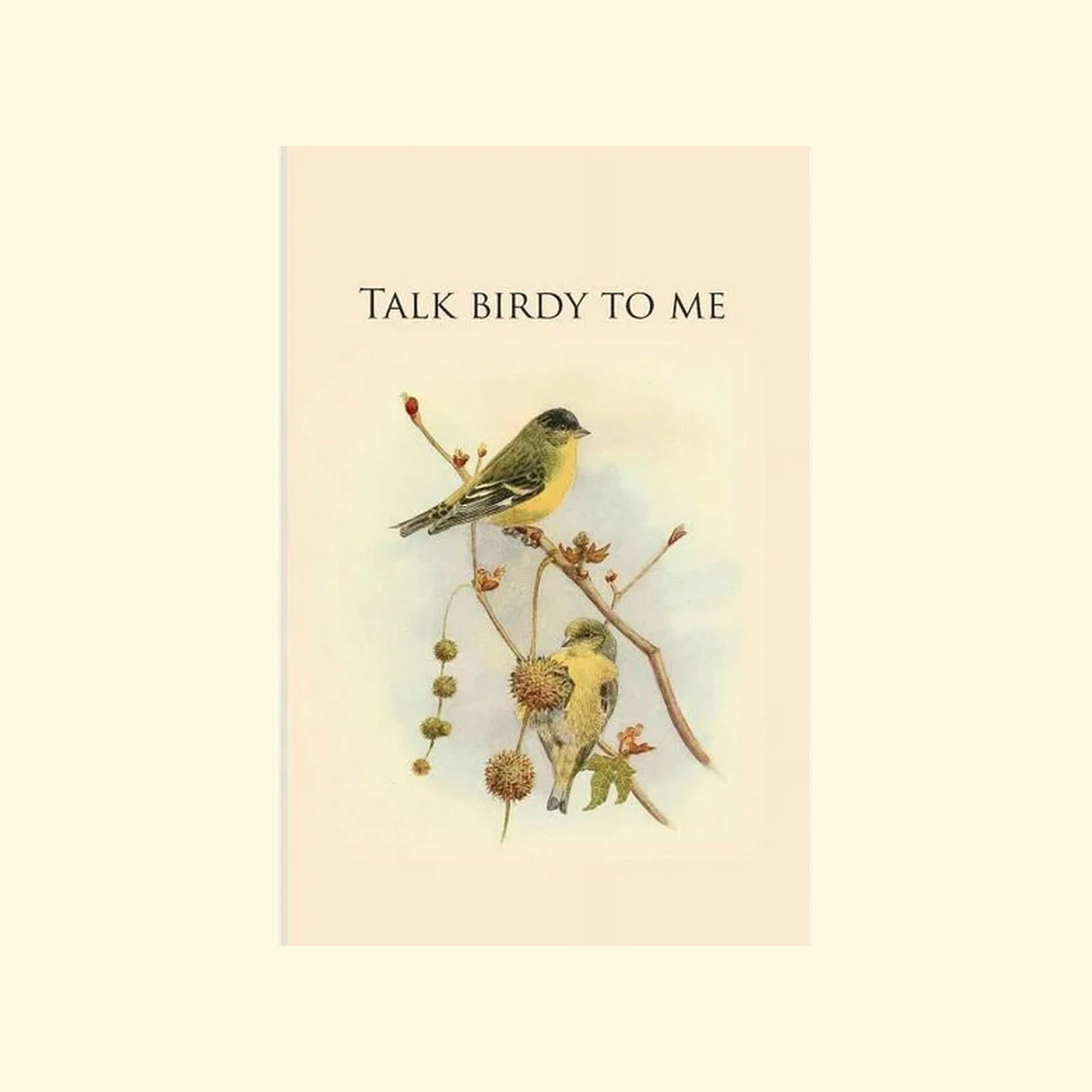 Talk Birdy to Me
