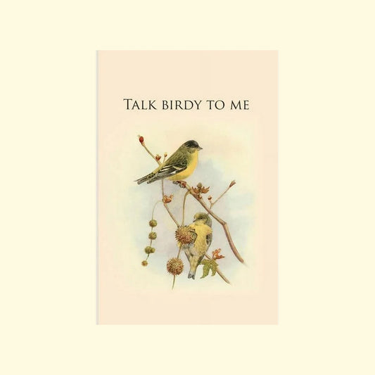 Talk Birdy to Me