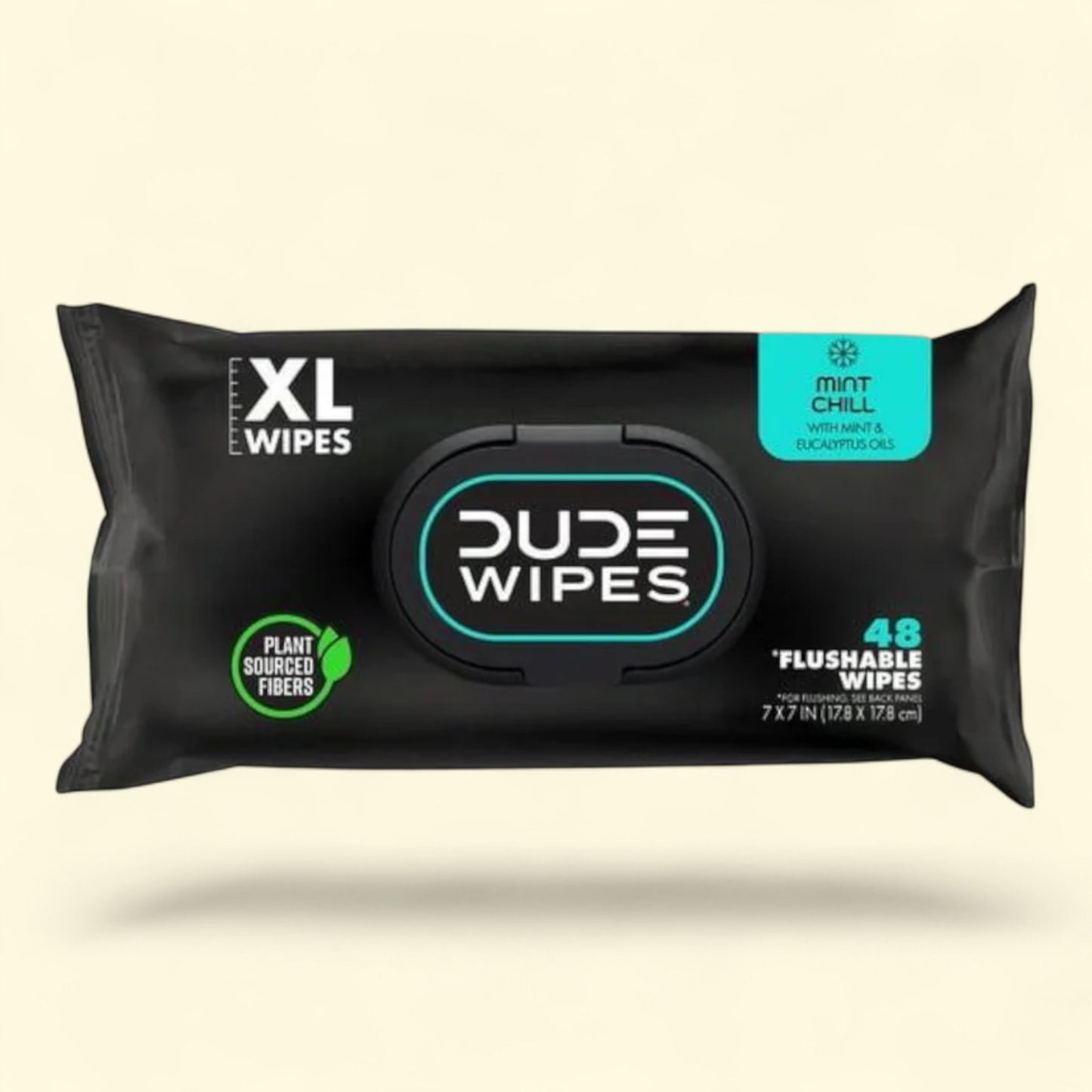 DUDE Flushable Wipes, Mint Chill, 48 Count