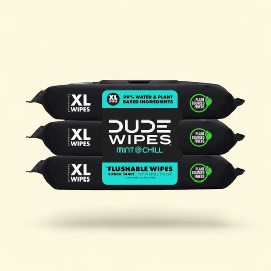 Dude Wipes Mint Chill Flushable Wipes, 3 Pack of 48 Wipes