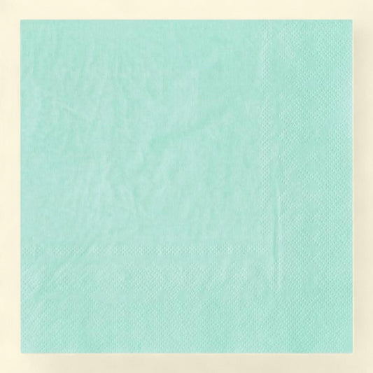 Way To Celebrate Disposable Mint Paper Napkins, 6.5" x 6.5", 24 Count